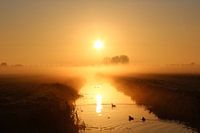 Magisch ochtendgloren