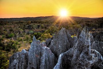 Tsingy rotsen zonsondergang von Dennis van de Water
