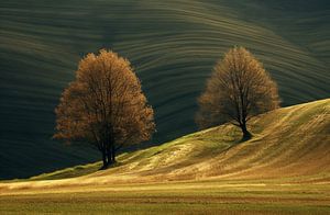 Herbstliche Einsamkeit