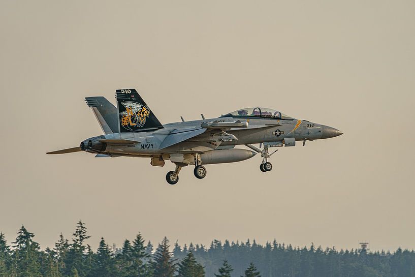 Landung einer Boeing EA-18G Growler. von Jaap van den Berg