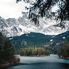 Recently at the Eibsee by Joris Machholz