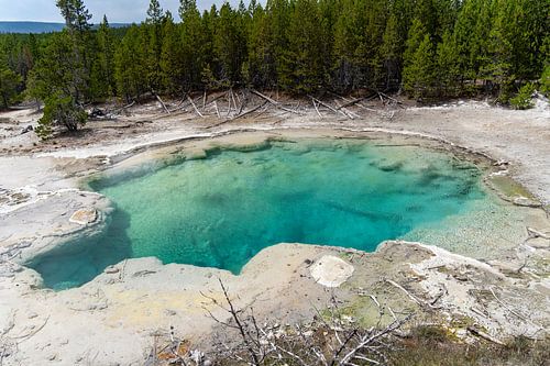 Source chaude dans le parc national de Yellowstone, États-Unis