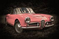 Alfa Romeo Giulia Spider (kleurvariatie)