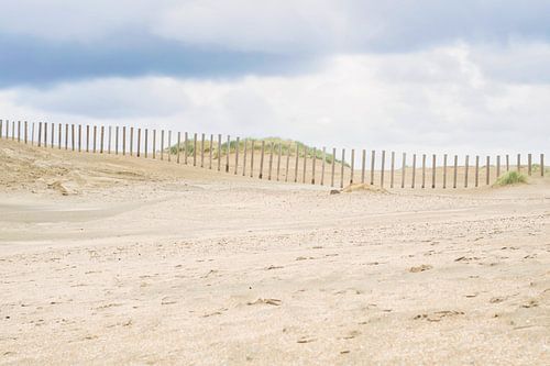 Duinen en  strand, Zandvoort