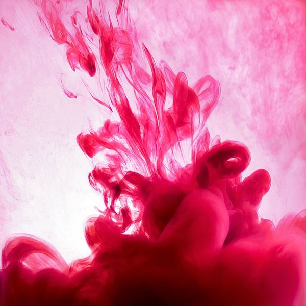 red by Silvio Schoisswohl