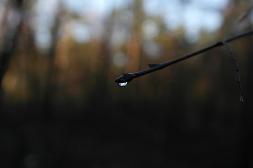 Waterdruppel