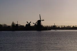 molens in tegenlicht van Robert Lotman