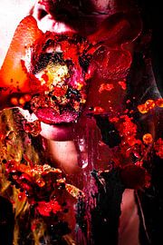 Lick its and its yours REDS van Saskia de Wal