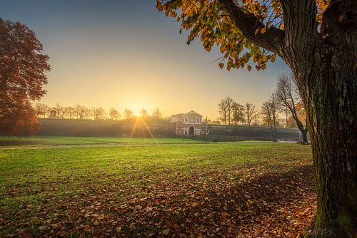 Stadsmuren en bomen van Lucca bij zonsopgang. Toscane, Italië