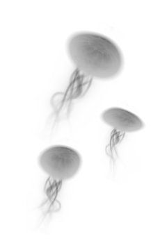 Jellyfish N.3 van Olis-Art