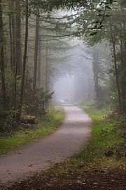 Reh auf dem Waldweg von Alexander van der Molen
