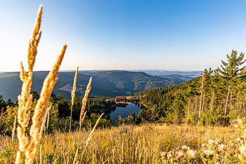 Mummelsee mit dem Berghotel im Schwarzwald