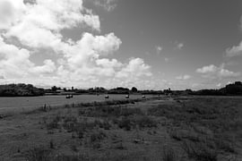 Pictures of the North Sea island of Borkum. by Bianca Meyering Fotos - BMF