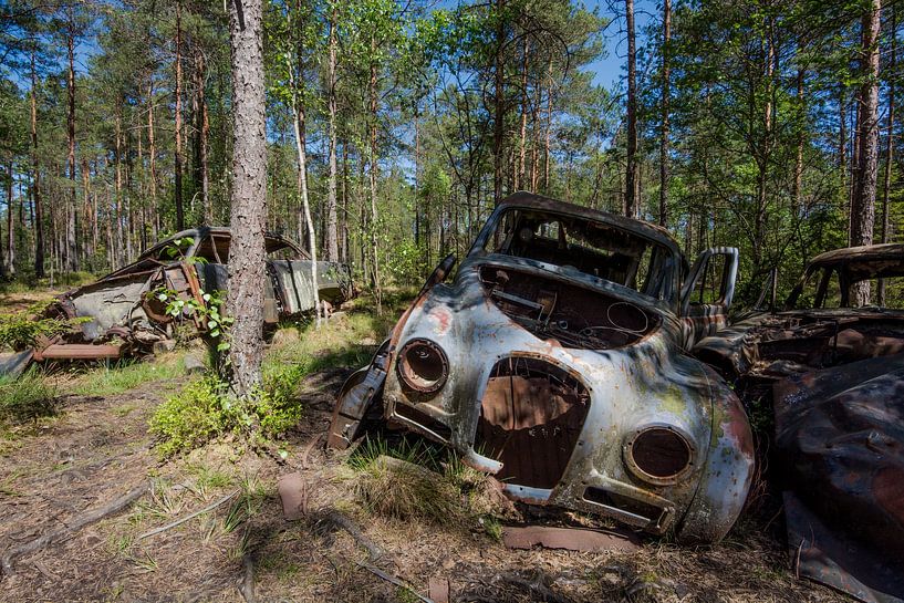 Oldtimer im Sumpf 2 von Aurelie Vandermeren