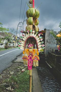 Offer Bali/ Reisfotografie van Annelies Hoek