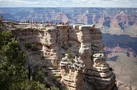 Grand Canyon von Kees van Dun Miniaturansicht