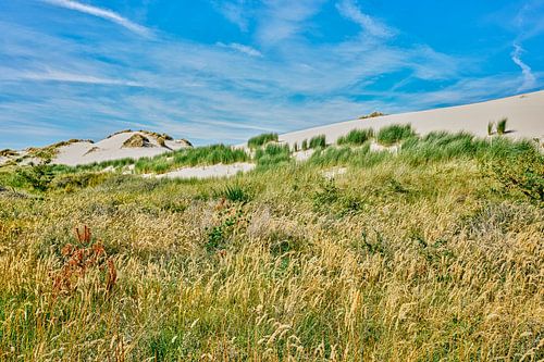Dutch coast and dunes by eric van der eijk