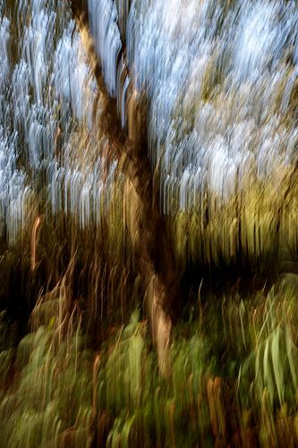 Movement in the forest