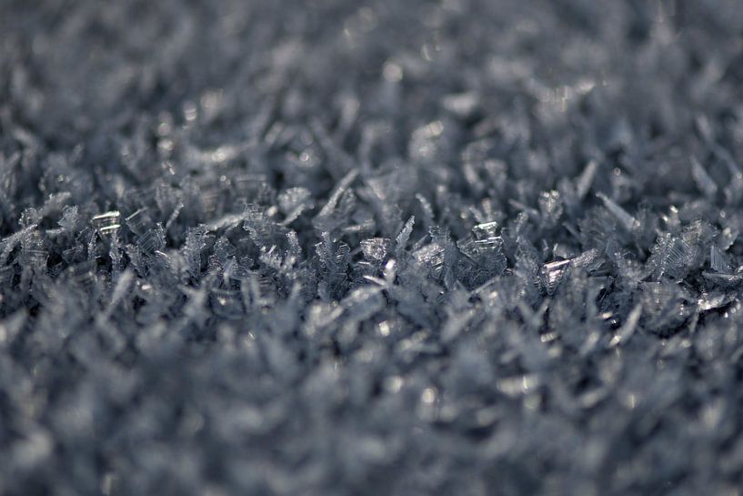 macro cristal de glace par Sylvia Baars - Schut