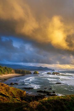 Oregon Coast Fotografie Drucke - Haus und Büro Wanddekoration - Fine Art Landschaft Drucke - Oregon Wandkunst von Daniel Forster