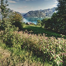 Attersee Austria by Franklin