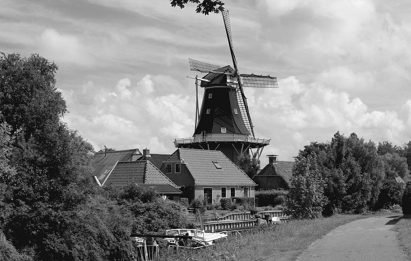 Mensingeweer  von Susan Vrieze