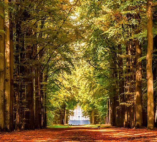 Walking around Het Loo palace