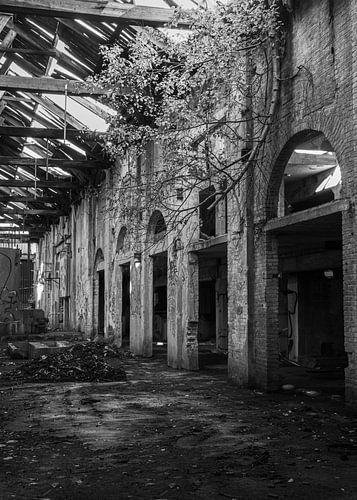 Potato flour factory Ter Apel