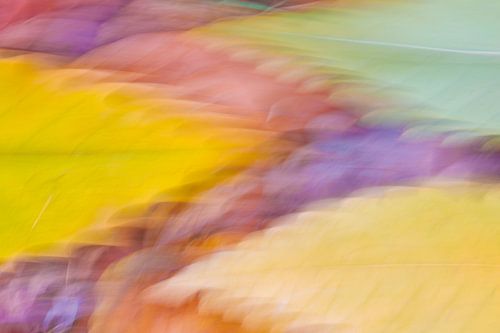 Colourful dynamic abstract