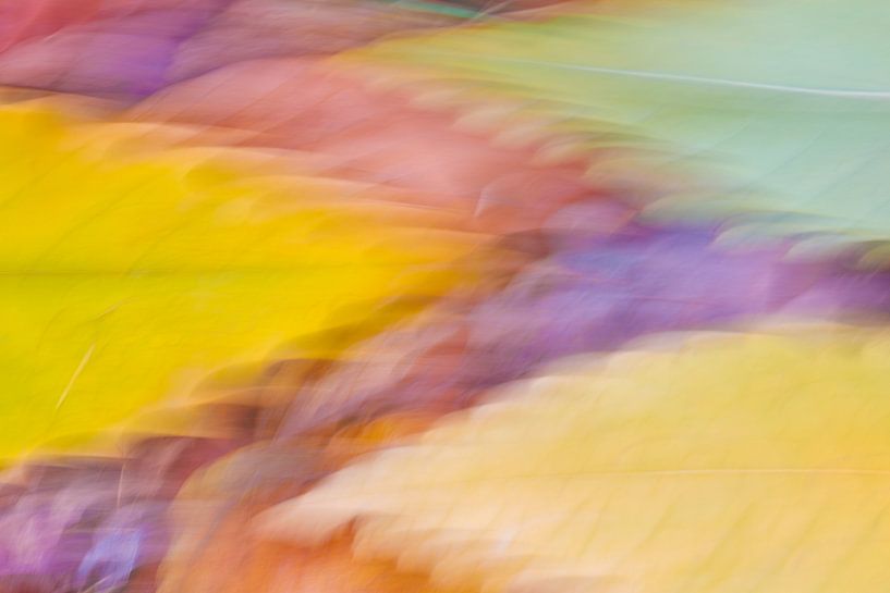 Bunte dynamische abstrakte von Maarten Trybou