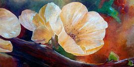 Blossom by Andreas Wemmje