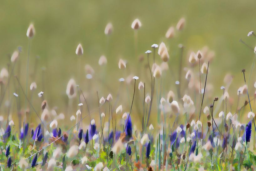 Summertime van Peter Bartelings
