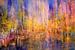 Die Stadt am Fluss im goldenen Abendlicht von Annette Schmucker