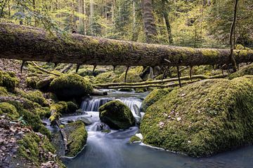 Lente Stroom van Severin Frank Fotografie