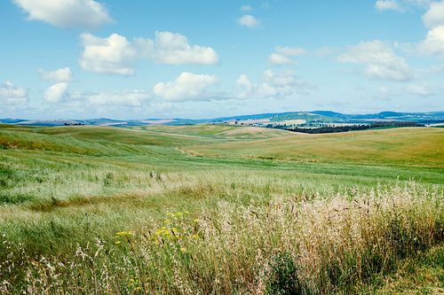 Italie campagne toscane castiglione d'orcia