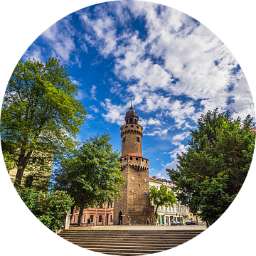 Gezicht op de Reichenbach toren in de stad Görlitz van Rico Ködder