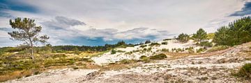 Schoorlse duinen in panorama van eric van der eijk