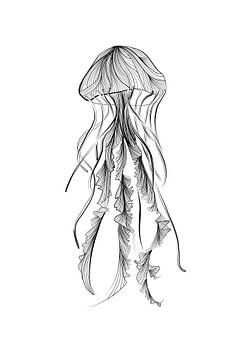 Poster kwal - Terschelling - zwart wit - fine lines