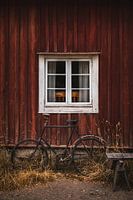 Scandinavian atmosphere with window and bicycle