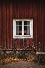 Rood Zweeds Huis met Vintage Fiets