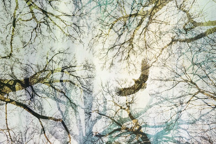 Series Combination Nature-Roofbird by Karin de Jonge