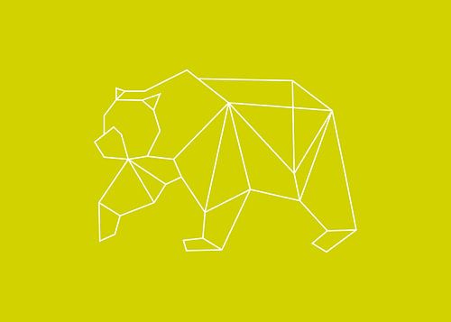 Bear - Graphic animals