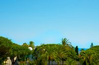 Sonne, Meer und Palmen