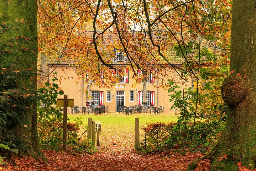 Bakkeveen vista of The Slotplaats by Antje Verleg-Dijk