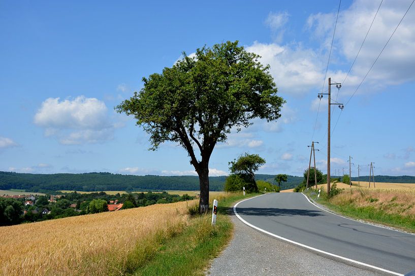 the Harz en route to Bad Sacha by Henriette Tischler van Sleen