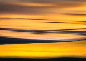 Sous le ciel jaune