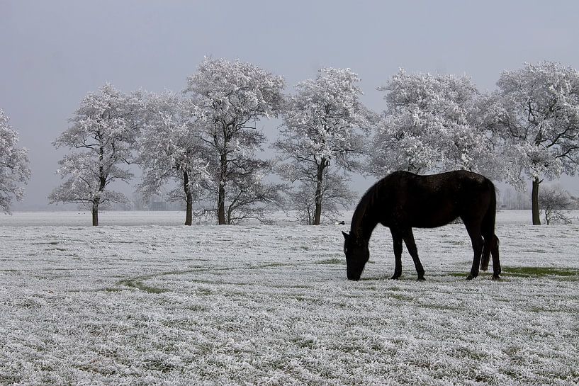 Winter by Mirjam Duizendstra