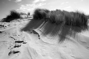 Dünengipfel Terschelling