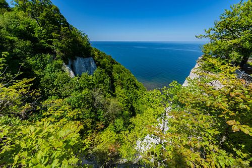 Au Königsstuhl avec vue sur le Victoria, île de Rügen, parc national de Jasmund