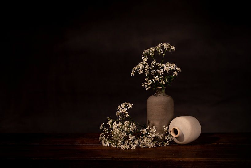 Fluitekruid van Peter Abbes